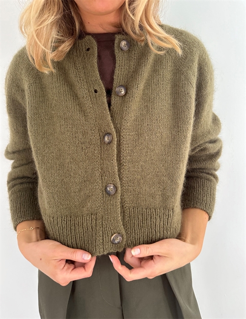 Darcy Cardigan (svenska)